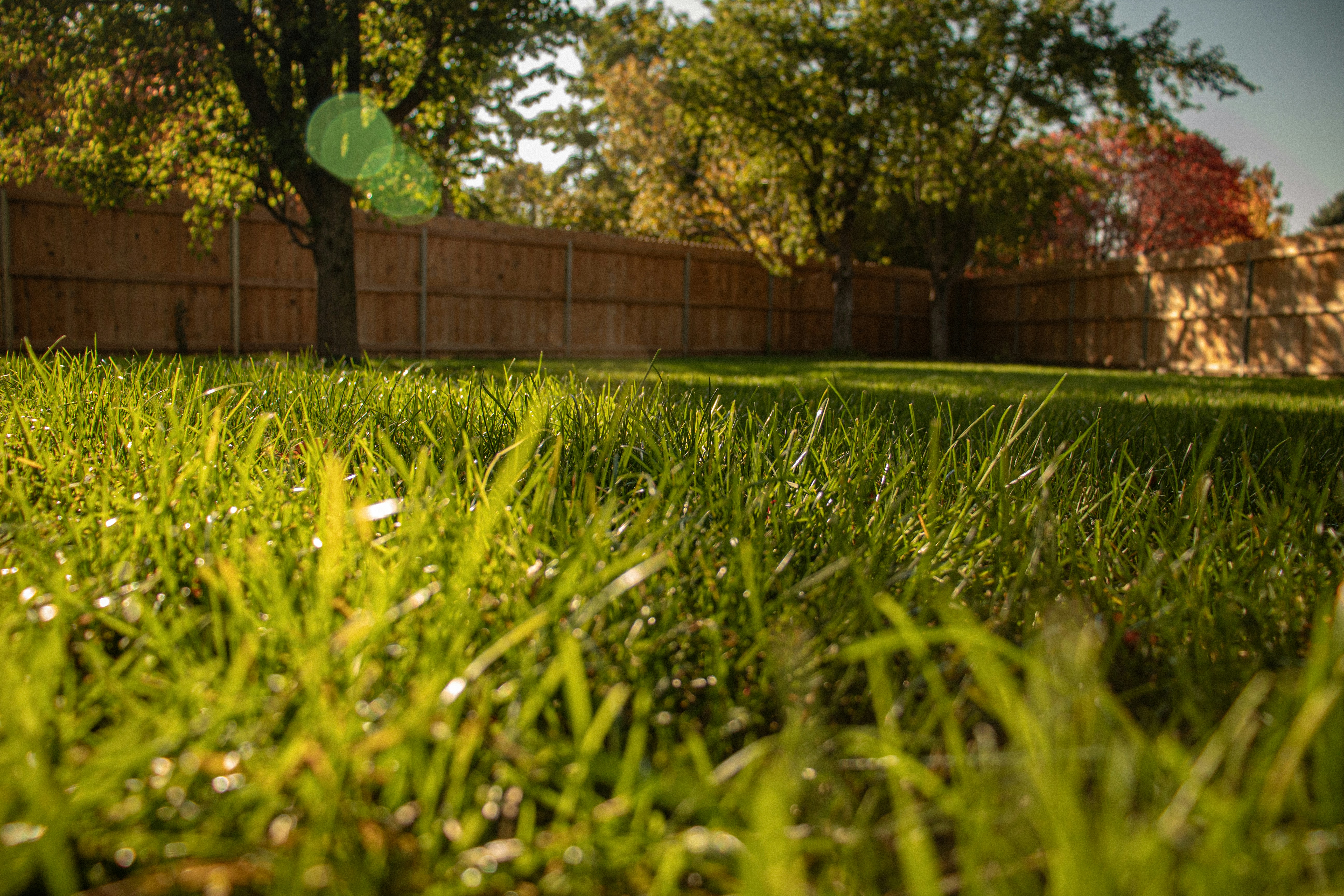 Sprinkler repair service