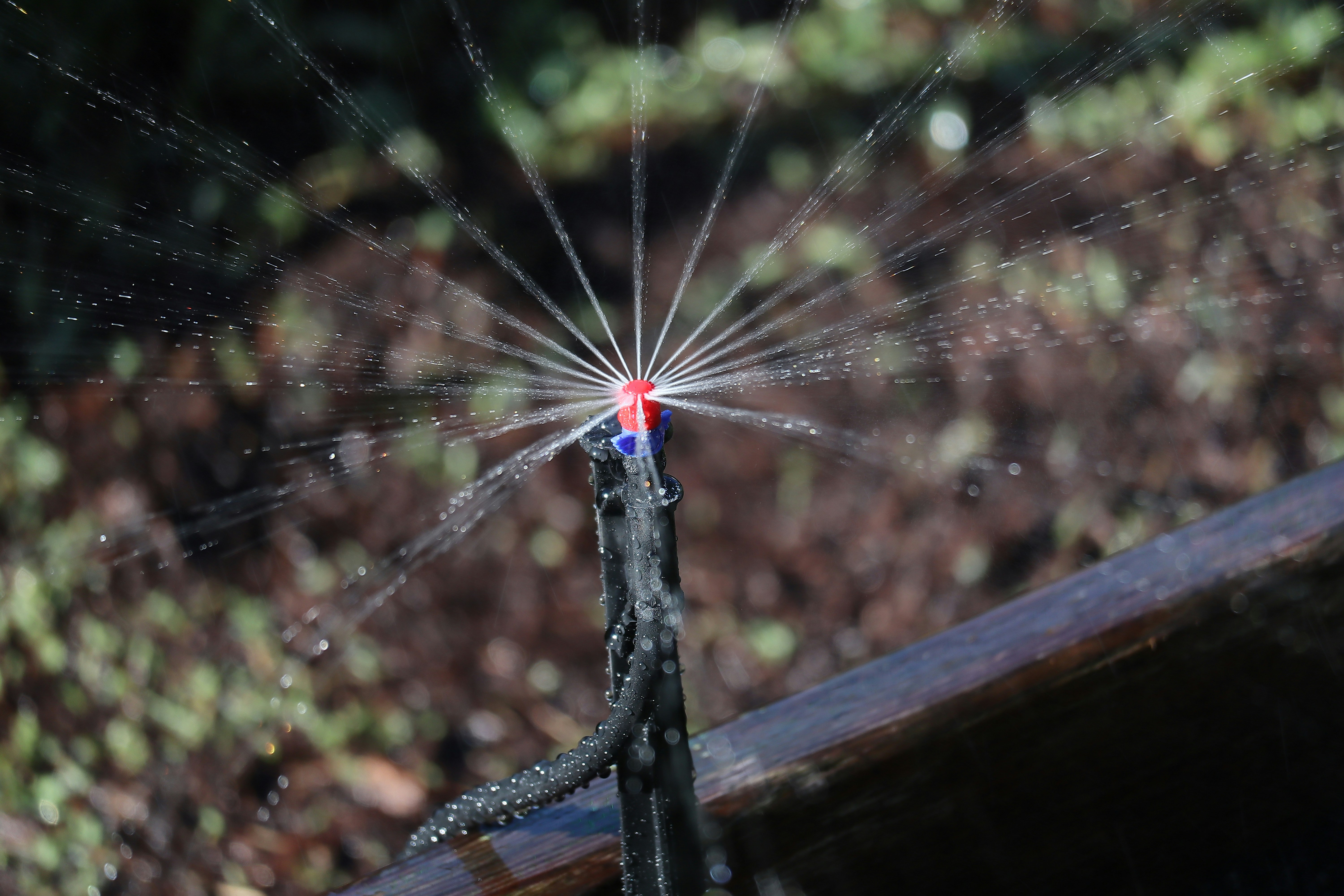 Drip irrigation system in garden