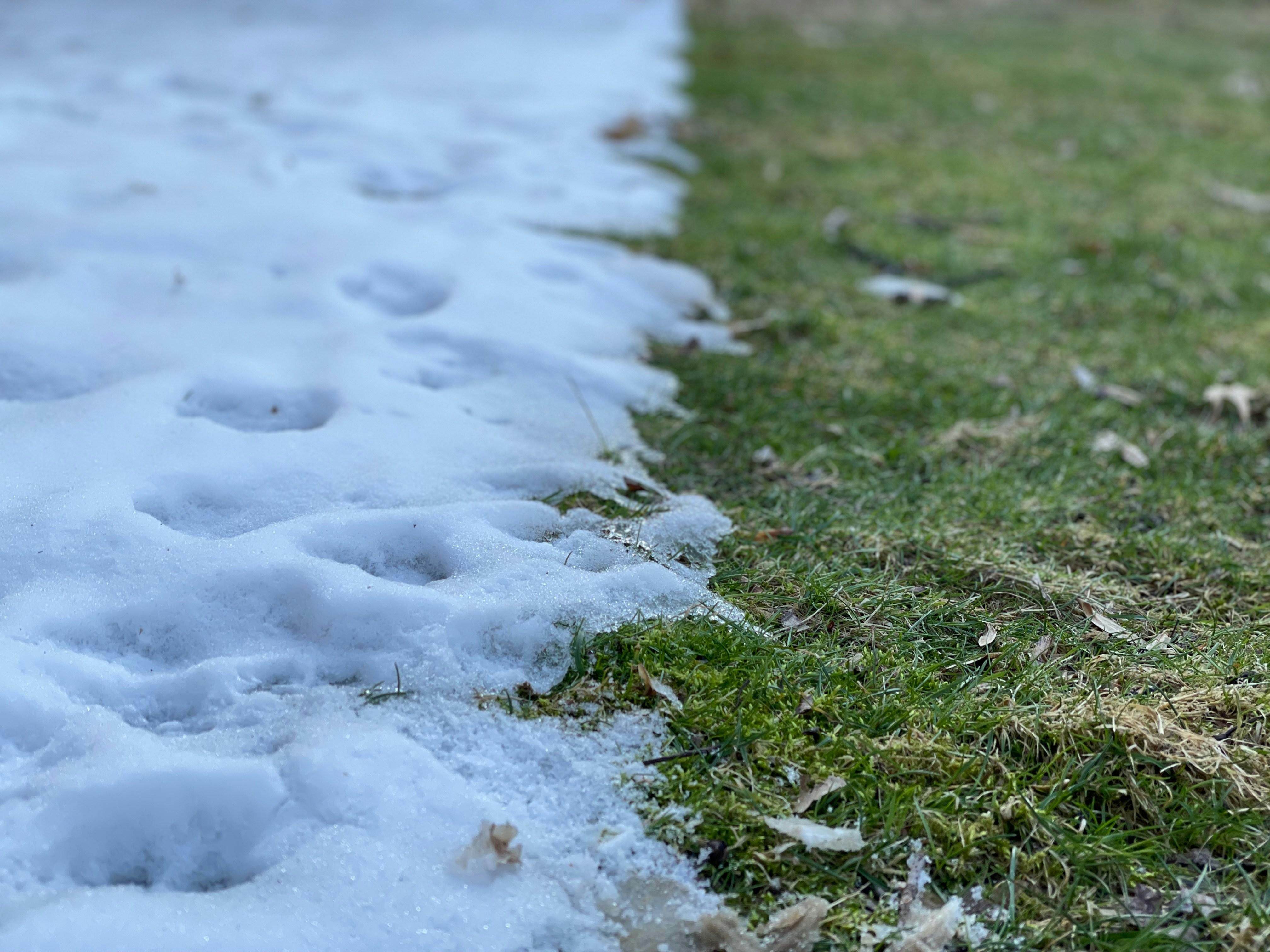 Sprinkler winterization service