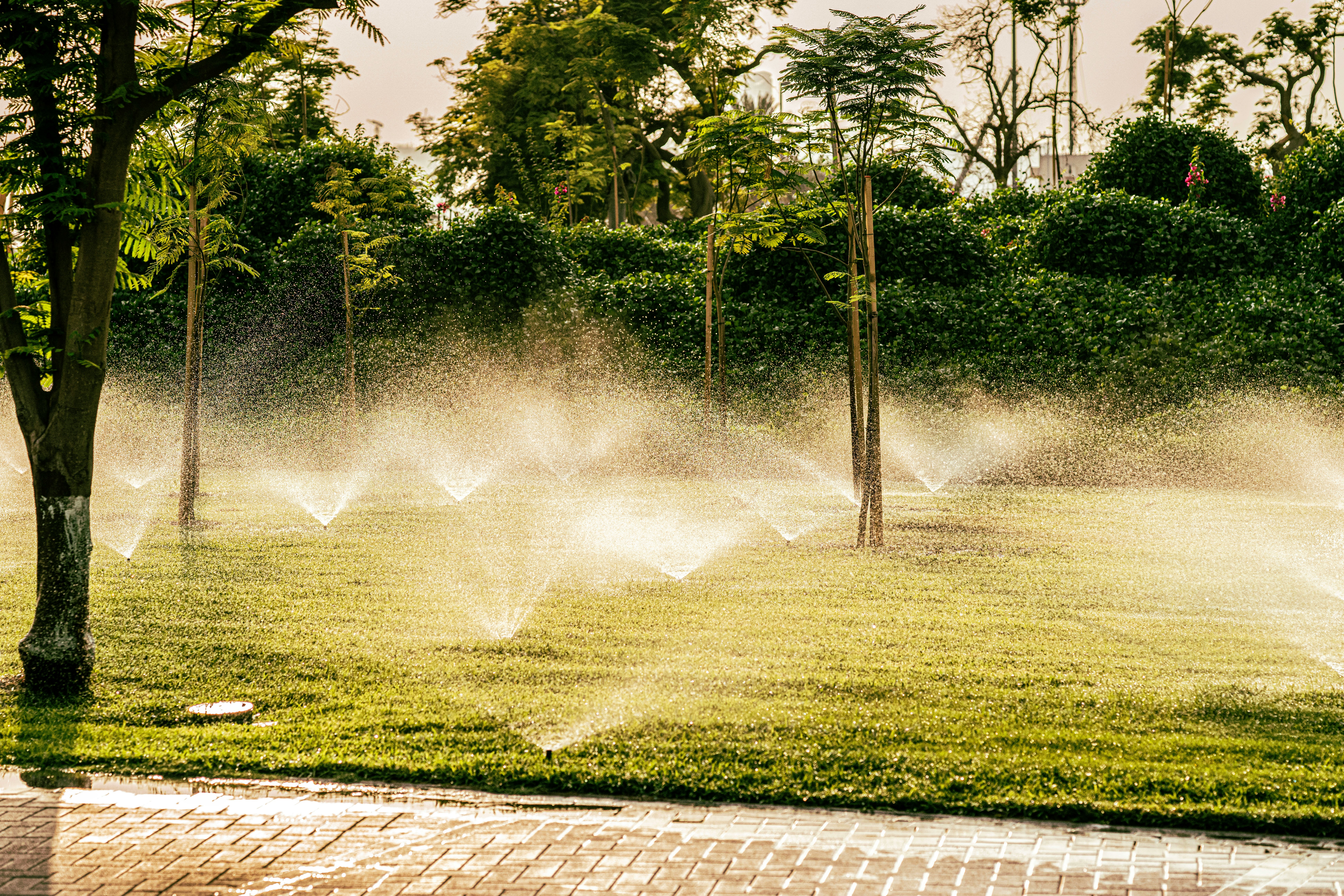 Sprinkler installation service
